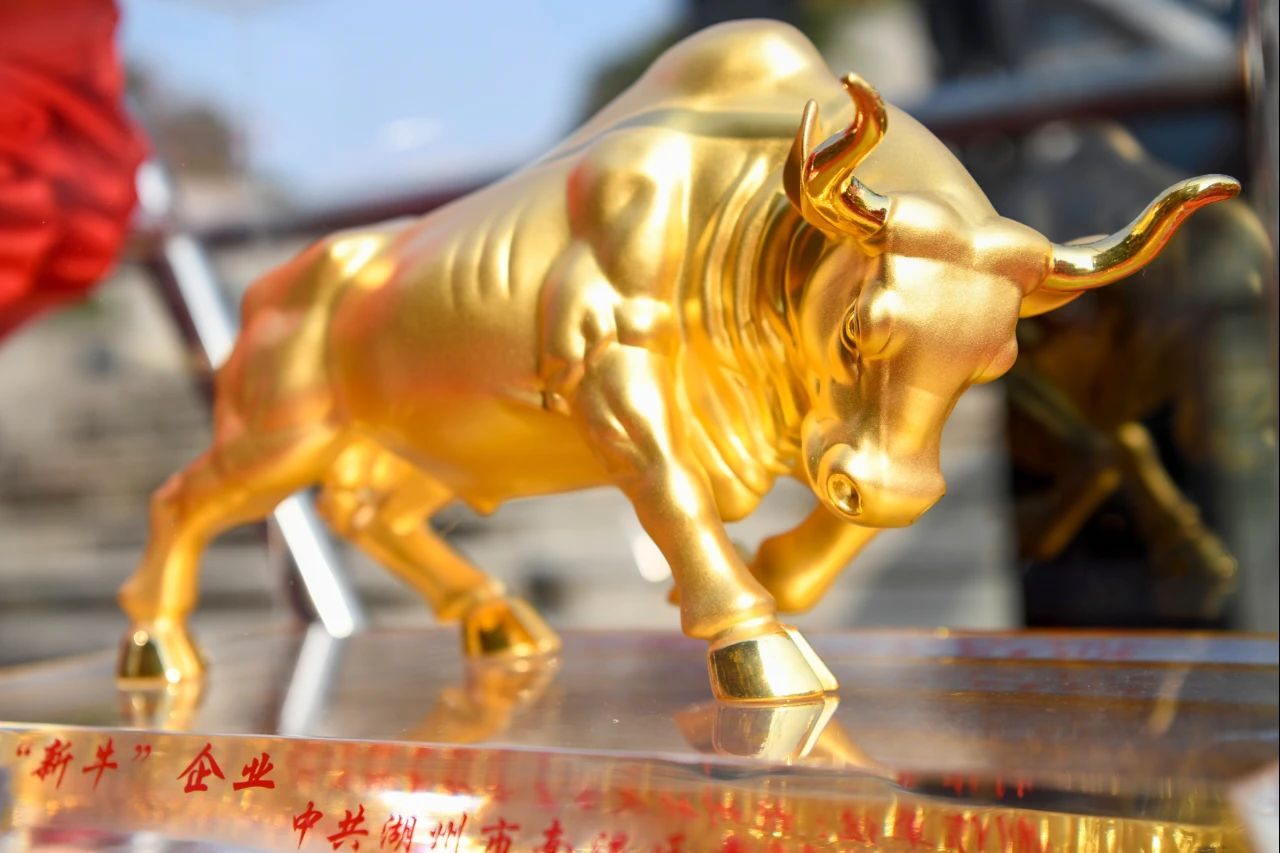 賡續(xù)初心 奮楫新程|森赫電梯連續(xù)九年捧回“金牛大獎(jiǎng)”